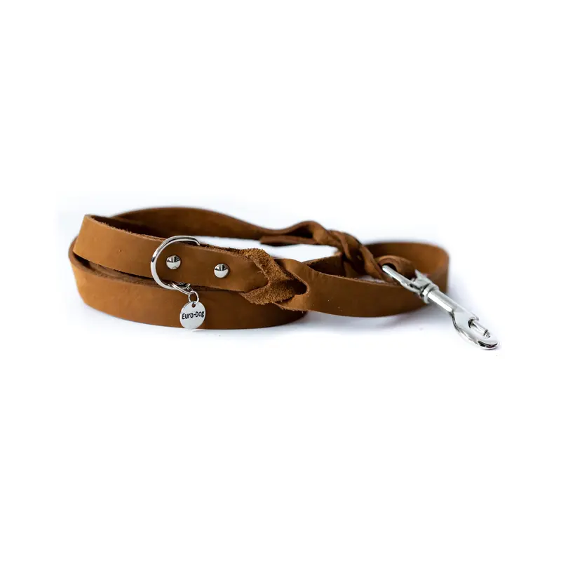 Leather Braided Dog Leash