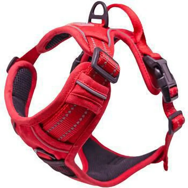 Crimson Venture Paw Doggie Design