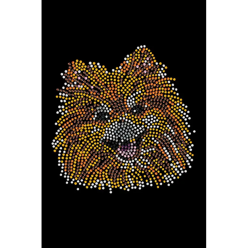 Pomeranian - bandana
