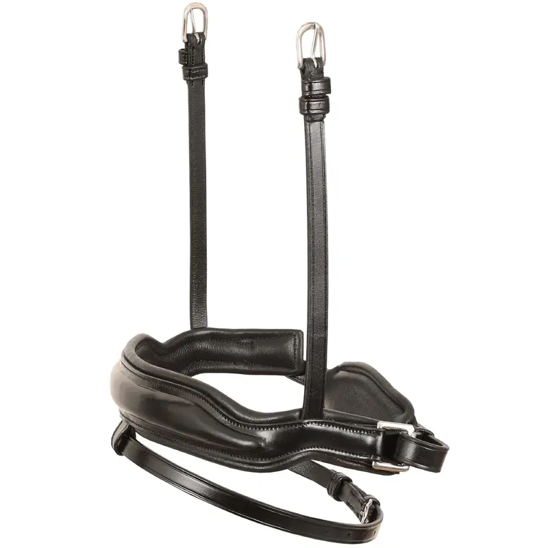 Replacement Noseband of ExionPro Leo Classic Dressage Bridle