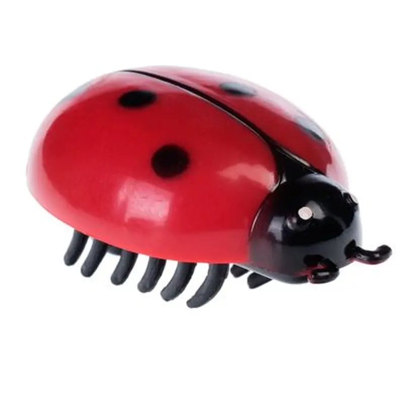 Insect Cat Toys - 3-Piece Set