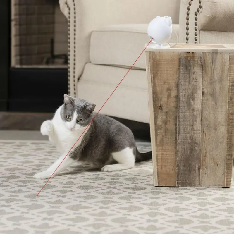 PetSafe Dancing Dot Laser Cat Toy