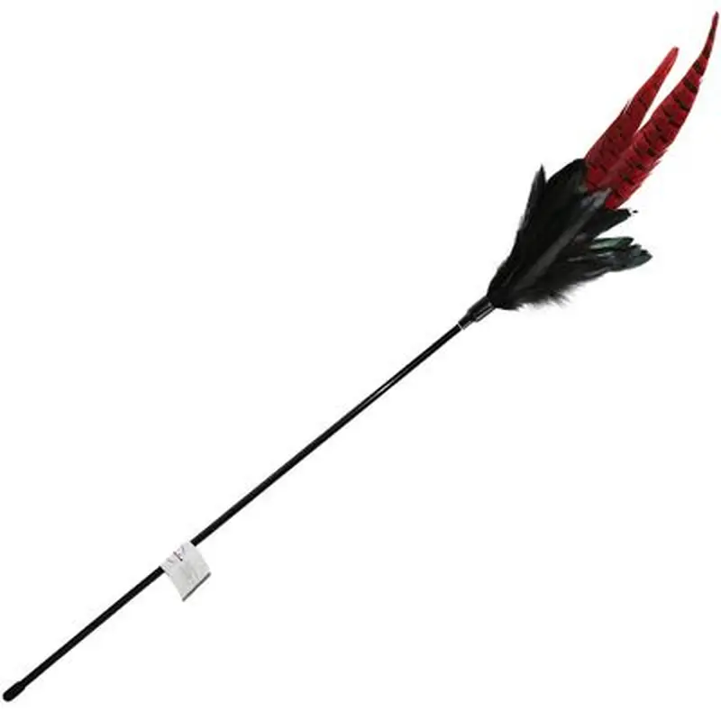 Mystic Long Feather Cat Pole - 1 Cat Dangler
