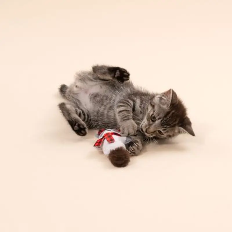 TIAKI Raccoon Cat Toy - 1 Toy