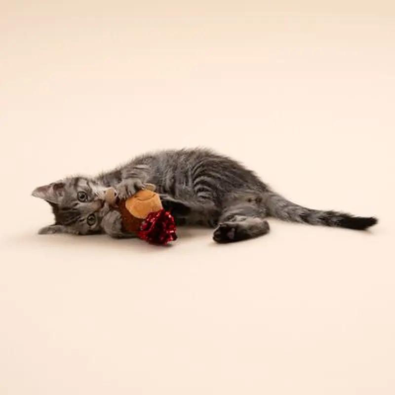 TIAKI Reindeer with Tinsel Ball Cat Toy - 1 Toy