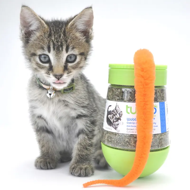 Coastal Turbo Wobble Bottle Catnip Cat Toy
