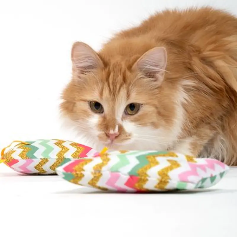 TIAKI Zig Zag Catnip Cushion - Set of 2